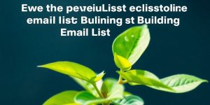Growing email list for business growth.